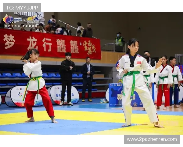 2026省跆拳道比赛：展现青春力量与竞技精神的盛会